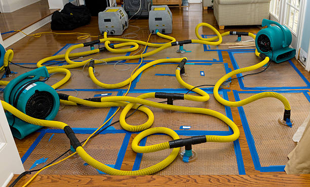 Professional Water Damage Restoration technician working in Brownsburg, IN